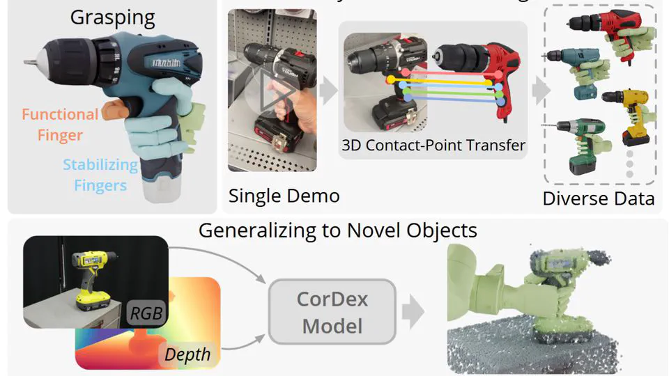 Generate, Transfer, Adapt: Learning Functional Dexterous Grasping from a Single Human Demonstration